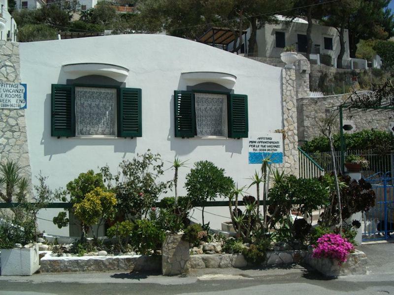 Blu Marine Casa A 10Mt Dalla Spiaggia Peschici Dış mekan fotoğraf